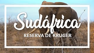 Sudáfrica, Reserva de Kruger - programa Contacto