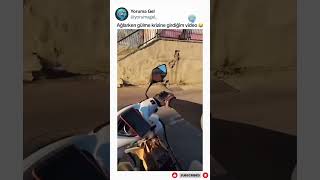 Can Sıkıntısına Iyi Gelecek - Komik Yorumlar 266 - Yoruma Gel Resimi