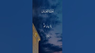 سورة التغابن: القارئ احمد النفيس