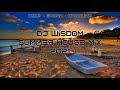 Dj Wisdom - Summer House Mix 2021