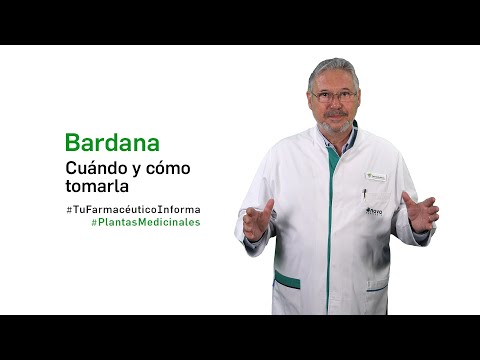 Video: Bardana: propiedades medicinales y contraindicaciones. Propiedades medicinales de la bardana y recetas de medicina tradicional