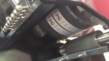 Flexo Label Printing Machine (2+1 Colors)