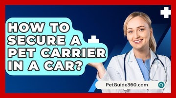 How To Secure A Pet Carrier In A Car? - PetGuide360.com