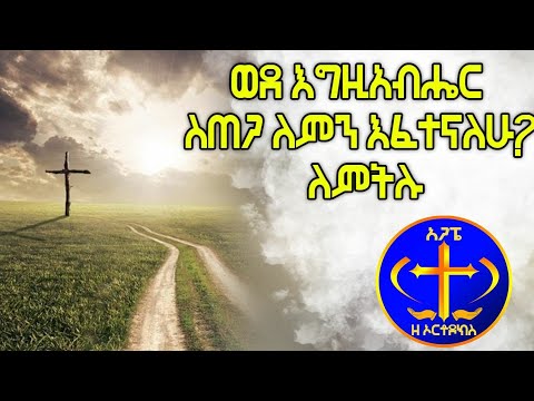 ቪዲዮ: ሰዎች ለምን በልዩ ሙያቸው ወደ ሥራ አይሄዱም