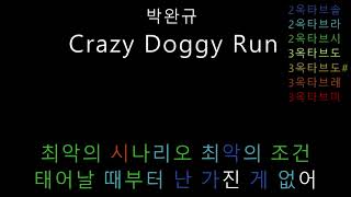 박완규 - Crazy Doggy Run (음정체크)