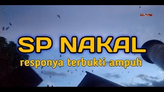 Sp Nakal (SUARA PANGGIL WALET)