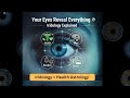 Iridology Explained | The Science of Iris Analysis for Health, Emotions &amp; Personality