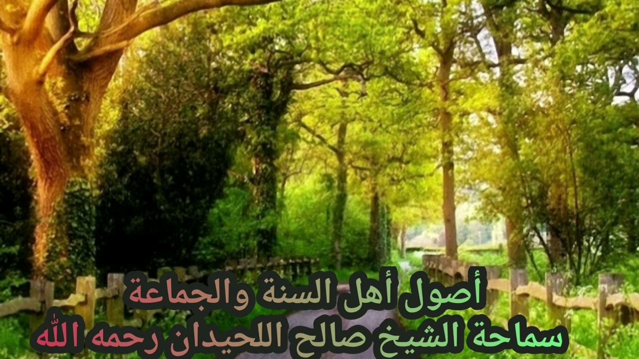 أسئلة محاضرة أصول أهل السنة والجماعة - الشيخ صالح اللحيدان رحمه الله 