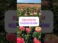 Đừng quan tâm người nói xấu mình. #baihoccuocsong #chiasegiatri #kinhnghiemsong #shortsvideo #yt