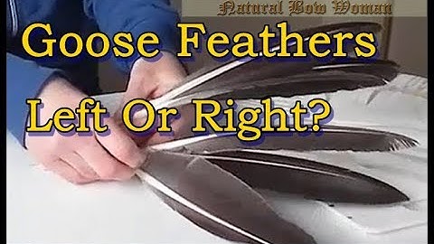 Goose Feathers For Wooden Arrows -  How to tell - Left or Right -  Part 1