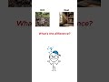 what's the difference between these terms? 🤔 Learn them easily!#englishlearning #englishtips