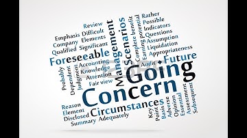 The Going Concern Review