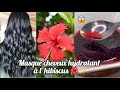 Masque miracle  a lhibiscus i hydratation brillance  pousse  astuce hair viral