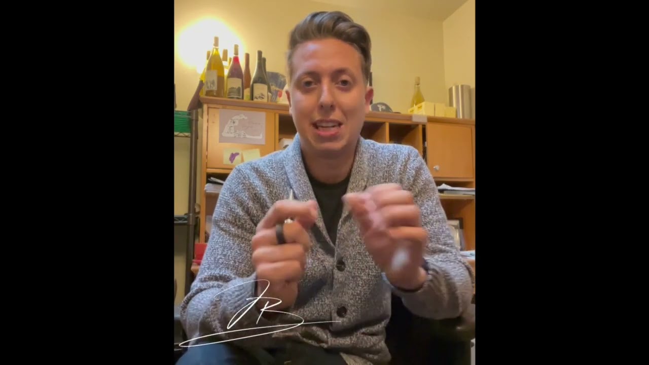 Artlogo Video Review Justine Bennett