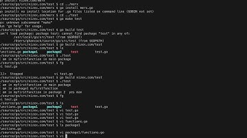 Working with Golang Packages