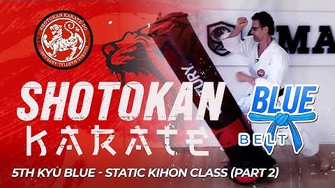 Shotokan Karate - 5th Kyu - Blue Belt - Static Kihon Class (Part 2)