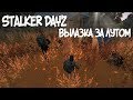 STALKER ADT-Team - вылазка за лутом