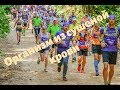 Летний Sport-Marafon Trail 2019