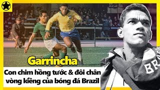 Garrincha - “Con Chim Hồng Tước” Với Đôi Chân Vòng Kiềng Của Bóng Đá Brazil