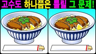 【틀린그림찾기/치매예방】 고수도 하나쯤은 틀릴 그 문제! 【다른그림찾기/두뇌운동】