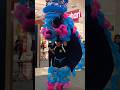 atraksi barongsai lion dance barongsai lion dance!!
