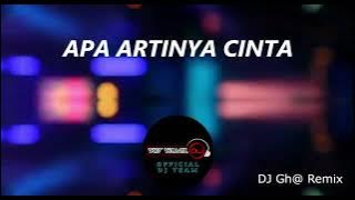 APA ARTINYA CINTA REMIX