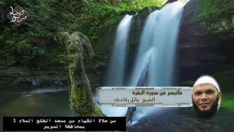 الشيخ وائل رفاعى من صلاة التراويح 1438 هجريا (ما تيسر من سورة البقرة )