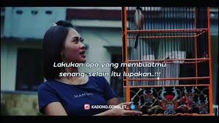 story wa ,salam kicau mania