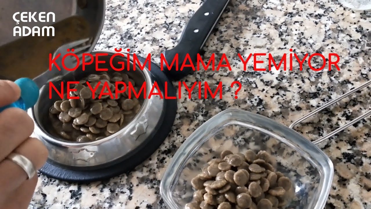 Kopegim Mama Yemiyor Bu Yontem Cok Isinize Yarar Youtube