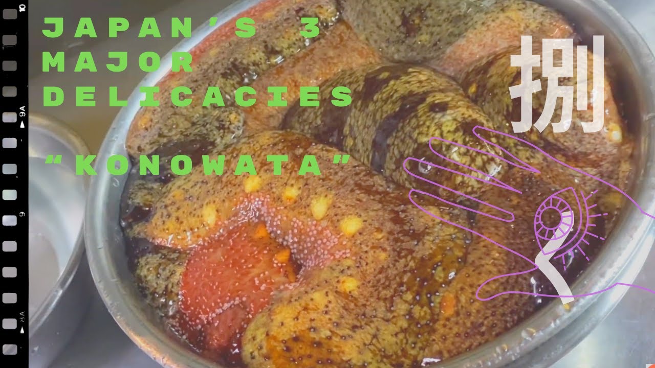 Japanese Recipes Fresh Sea Food Sea Cucumber海鲜 They Make The Japan S 3 Major Delicacies Konowata Youtube