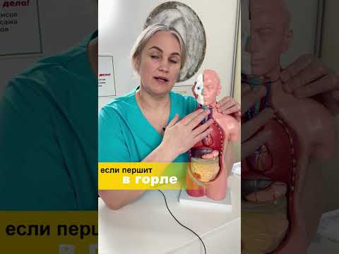 Если першит в