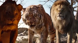 Mufasa and Scar vs Shere khan