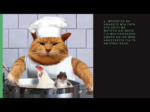 Βίντεο: 12 λόγοι για να πάρετε μια γάτα