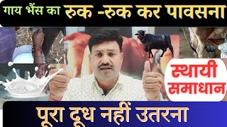 गय भस पर दध नह उतरत ह, रह रह कर पवसत ह Bhains Pura Doodh Nahi Utarti