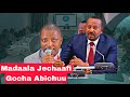Jecha Durii Fi Gocha Arraa Abiy Ahmed Ilaalchisee Yaada Gabaabaa 