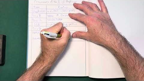 Components of the E. coli replisome 