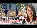 История на Хэллоуин: дело Тейлор Ван Дист