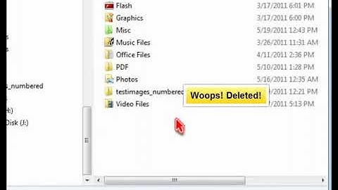 Undeleting files with File Scavenger
