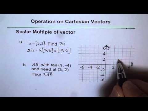 Vector Scalar Multiple