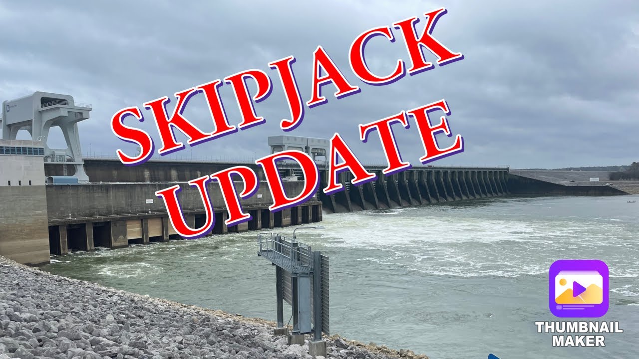 Skipjack Fishing Update - Kentucky Dam 3232023
