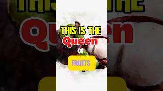 Which fruit is called Queen of Fruits?Only 1% Get It Right! #Shorts #wonderofasia #fruitsoftheworld