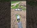 Поиск клада! #золото #metaldetecting #shortvideo #коп #поиск #metaldetector #клад #монеты #coin #топ