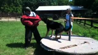 Ruger table training w/ sk9s