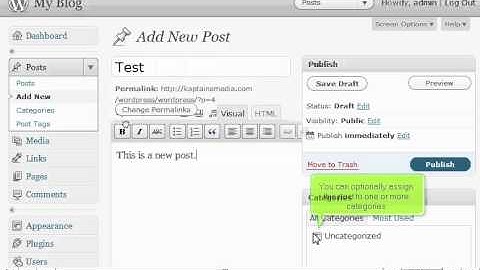 Writing a new post in WordPress by VodaHost web hosting