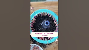 Planting hacks- using a garbage can 🤩 #diy #onion #plantingvegetables #plantinghacks
