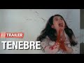 Tenebre | Modernized Recut Trailer | Italian Giallo, Dario Argento