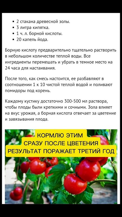 #советы #дача #огород #полезныесоветы #урожай - YouTube