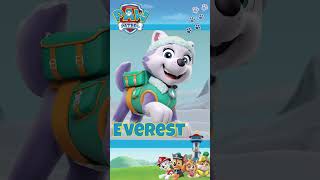 Learn ABCs with PAW Patrol #Shorts #PAWPatrol