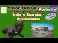 Irdin E Energias = Aprendizados - Terça às 13.30h - 17/06/25