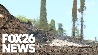 Arsonist targets Armenian cemetery in Central California: 20 trees torched since mid-January